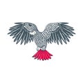 African grey parrot vector logo Royalty Free Stock Photo