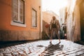 African guy with basketball outside