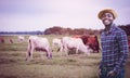 African herdsman controls a herd of cows that are grazing Royalty Free Stock Photo