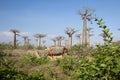 African house with baobabs Royalty Free Stock Photo