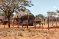 African house in the village Royalty Free Stock Photo