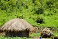 African Hut - Zambia Royalty Free Stock Photo