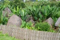 African huts blending with surrounding