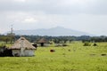 African Huts - Kenya Royalty Free Stock Photo