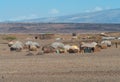 African huts Royalty Free Stock Photo