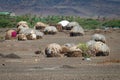 African Huts Royalty Free Stock Photo