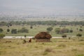 African Huts - Tanzania Royalty Free Stock Photo