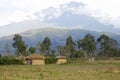 African Huts - Tanzania Royalty Free Stock Photo