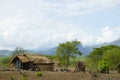 African Huts - Tanzania