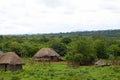 African Huts - Zambia Royalty Free Stock Photo