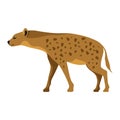 African hyena vector clipart. Hyaena image.