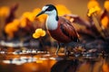 African Jacana Actophilornis africanus Natures elegance personified in wetlands