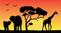 African landscape