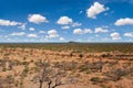 African landscape Royalty Free Stock Photo