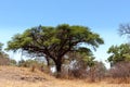 African landscape Royalty Free Stock Photo