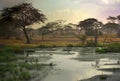 African landscape