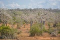 African landscape in Angola, large view Royalty Free Stock Photo