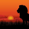 African landscape with animal silhouette. Savanna background Royalty Free Stock Photo