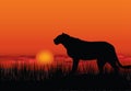 African landscape with animal silhouette. Savanna sunset background. Royalty Free Stock Photo