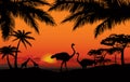 African landscape with animal silhouette. Savanna sunset background. Royalty Free Stock Photo