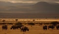 African landscape animals in the wild, sunset, wildlife reserve, herd generated by AI