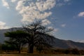 African Landscape with Baobab Trees and Mountains Royalty Free Stock Photo