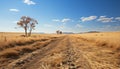 African landscape dry land, grass, blue sky, summer heat generated by AI Royalty Free Stock Photo