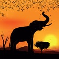 African landscape with elephant and tree Royalty Free Stock Photo