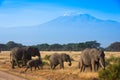 African landscape with elephants and Kilimanjaro Mountain
