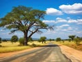 Ai Generated illustration Wildlife Concept of African landscape with empty road and trees in Zimbabwe