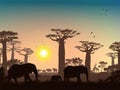 African landscape. Grass, trees, birds, animals silhouettes. Abstract nature background Royalty Free Stock Photo