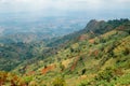 African landscape with houses and farms on the valley at the foothills of Uluguru Mountains in Morogoro Town, Tanzania