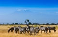 African landscape with Kilimanjaro Mountain Royalty Free Stock Photo