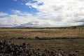 African landscape with migrating wildebeest