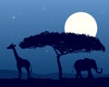 African Landscape at Night