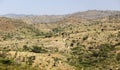 African landscape. Omo Valley. Ethiopia.