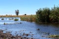 African landscape with river Royalty Free Stock Photo