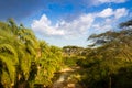 African landscape with river and palms tree