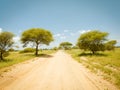 African landscape road during safari drive in Tarangire National Park, Tanzania