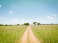 African meadow landscape road during safari drive in Tarangire National Park, Tanzania