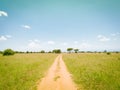 African meadow landscape road during safari drive in Tarangire National Park, Tanzania