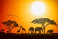 African landscape scene of safari animal savannah silhouette. Royalty Free Stock Photo