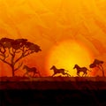 African landscape, silhouettes of zebras on sunset background