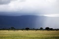 African landscape