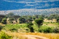 African landscape Royalty Free Stock Photo