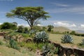 African landscape Royalty Free Stock Photo