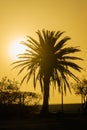 African landscapes - Swakopmund area Namibia Royalty Free Stock Photo