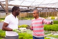 African and Latino men garden workers berating