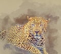 African leopard digital oil painting
