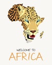 African leopard map illustration Royalty Free Stock Photo